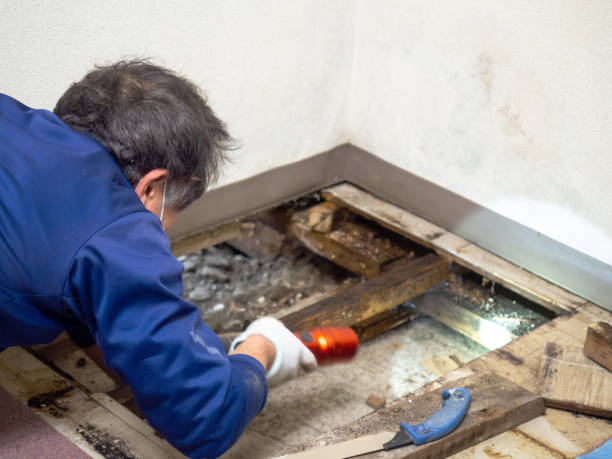 Best Water Damage Restoration  in Grand Prairie, TX