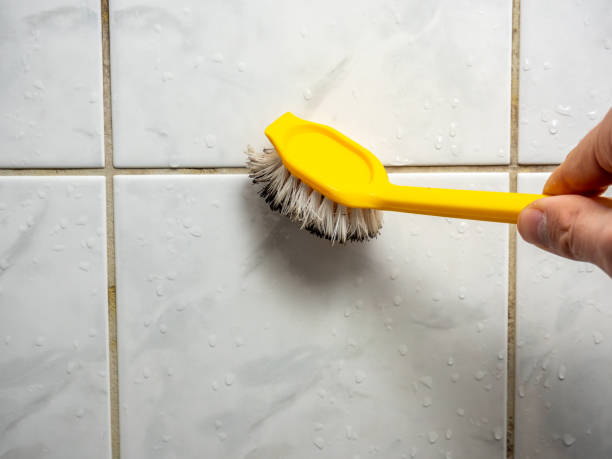 Best Mold Removal Process  in Grand Prairie, TX