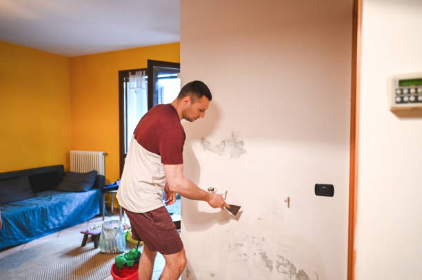 Best Attic Mold Removal  in Grand Prairie, TX